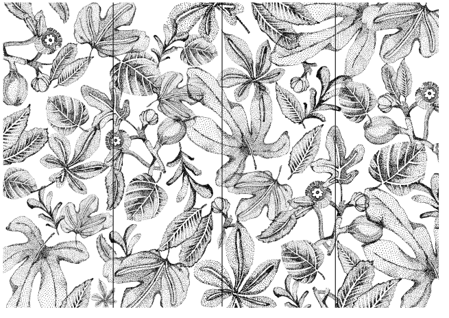 Fig Tree Wallpaper Les Dessinés